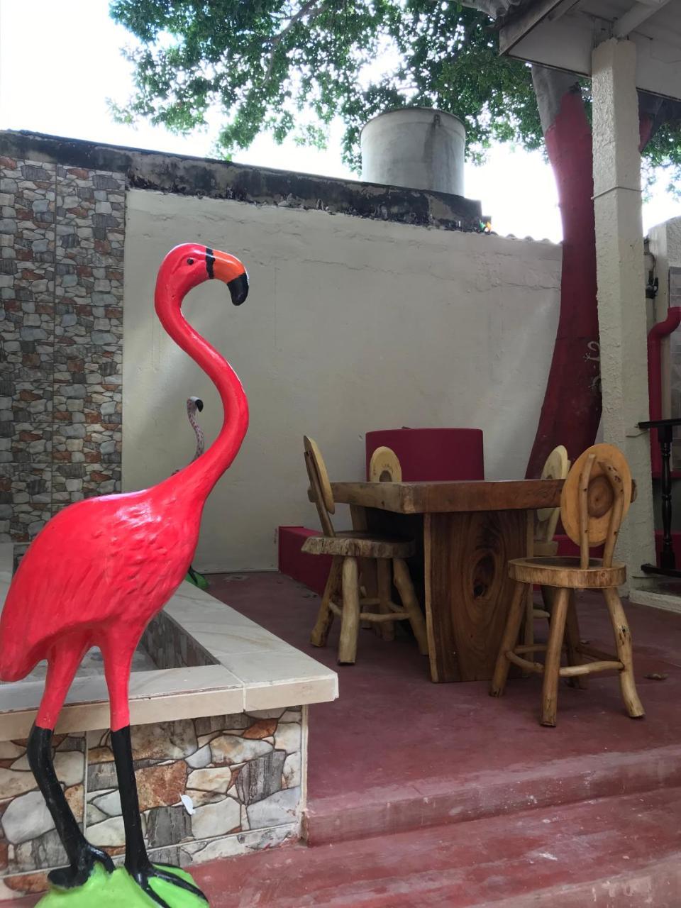 Mi Casa Hostel Ríohacha Dış mekan fotoğraf